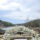 영플라워 이미지