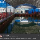 의항리해상공원 | 갑자기 생각난 태안 갈음이 낚시공원 후기 (불친절해서 비추천함)