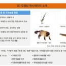 이데아링크 이미지