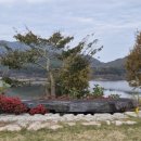 소나무농원 캠핑장 이미지