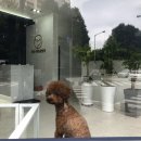 첨단사랑동물병원 이미지