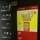 민트프랜트