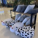 노아스로스팅은파호수점 이미지