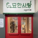 묘한사랑 이미지