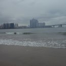동백섬 이미지
