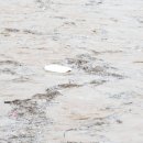 성자골1 이미지