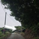 파구스엠 네이버블로그