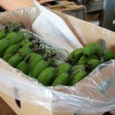 굿모닝 농장 이미지