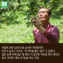 대관령사과농장