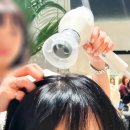 센텀중앙로 | 해운대 센텀 미용실 추천｜[셉 헤어 &amp; 스파 센텀점]에서 지노보 셀프 브러싱 후기