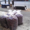 말바우 농장 이미지