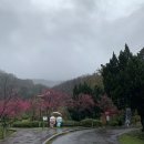 양명산 | [대만/투어] 양명산 &amp; 베이터우 투어 (겟유어가이드, 영어투어)