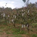 형이농장 이미지