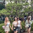 퀸투어스 이미지