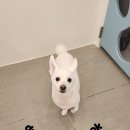 토리 이미지