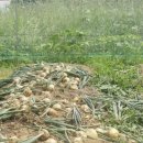 가족팬션 오늘 이미지