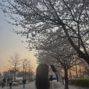 대충 4月 &amp; 5月 기록