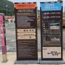 누리 FOOD(푸드) | [홍천] 오션월드 로얄 카바나 솔직 후기 & 간식 & 어트랙션 이용후기