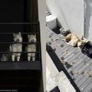 지.TOP펜션 이미지