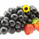 서울라이즈요양병원 이미지