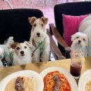 백옥대로730번길 이미지