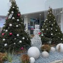 청남대별장푸드 이미지