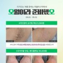 하울라스틱