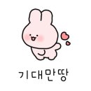 가야도야지 이미지