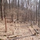 우암산등산로2 이미지