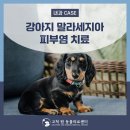 고척원동물의료센터 이미지