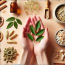 일산한의원 이미지