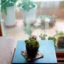 [프로젝트] 스툴 만들기 이미지