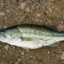 모차모텔 이미지