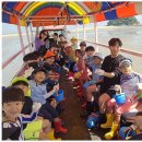 라온제나 태권도 이미지