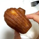 제주서중학교 | 제주시 와플맛집 [요거트랜드 본점] | 제주 요거트아이스크림 디저트 맛집 연동 카페