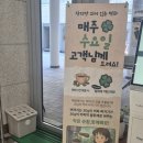 티타임 PC | 부산남구카페 도심 속 초록빛 힐링 공간, 환경까지 생각하는 '오륙도 휴 북카페' 내돈내산 방문 후기