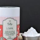 우리개 우리냥이 이미지