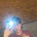 사라보래 이미지