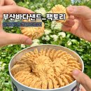 부산 기념품 디저트 선물 해리단길 부산바다샌드 팩토리 부산바다쿠키 후기