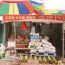 오류시장 이미지