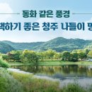 동화인쇄공사
