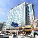 삼라마이다스 이미지