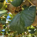 다울 주식회사 이미지