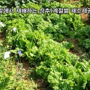 진민박 이미지