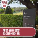 영신군이이묘 이미지