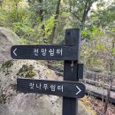 관악산 무장애숲길 티스토리