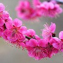예쁜,날(스킨)