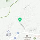 안창팽나무집