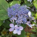 유성골프클럽 이미지