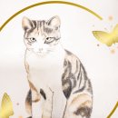 색연필디자인화 이미지